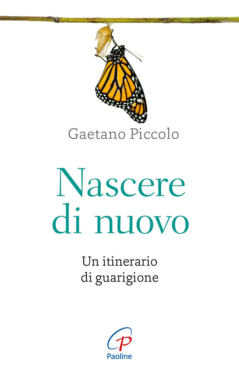 Nascere di nuovo. Un itinerario di guarigione book