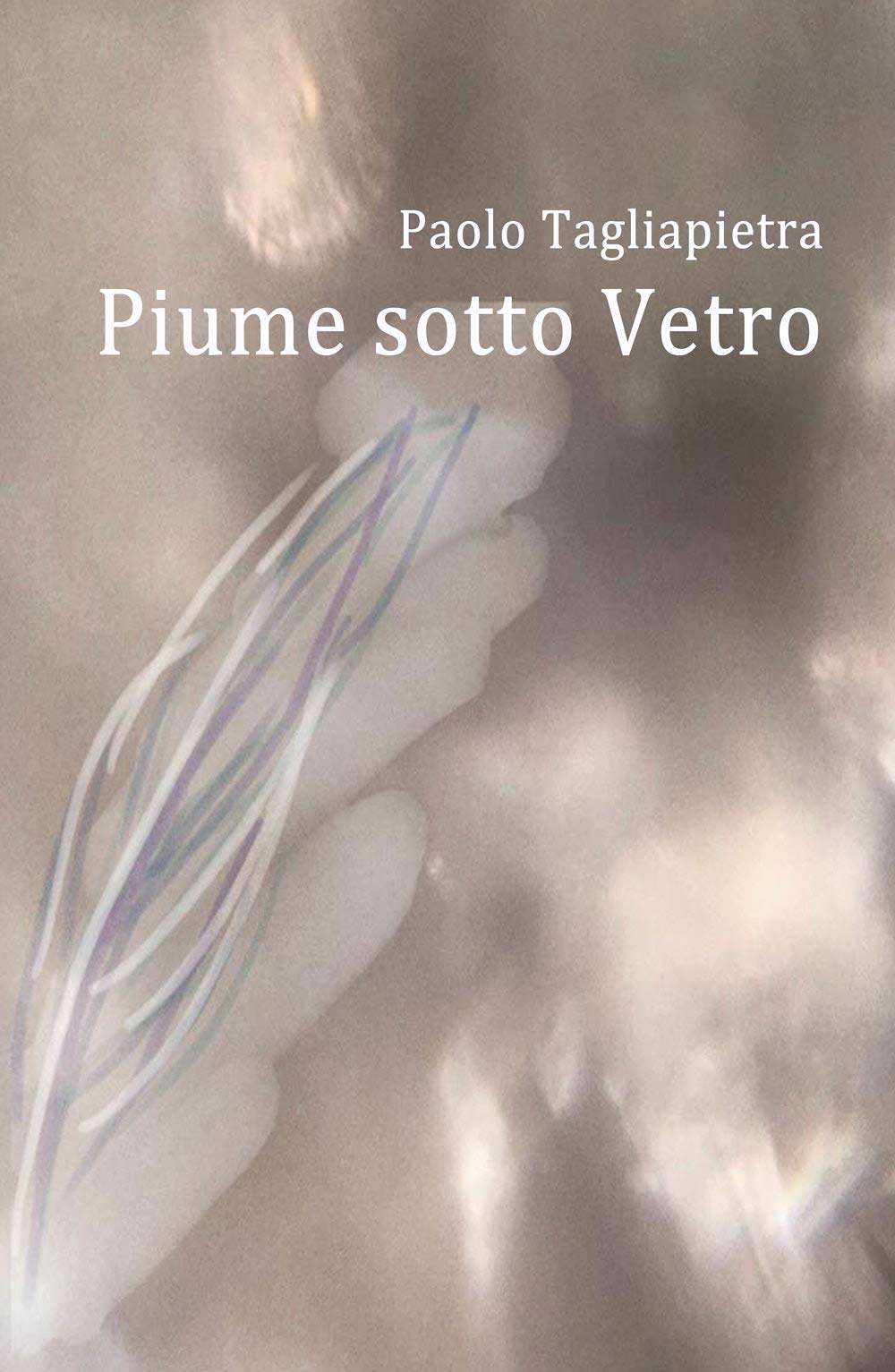Piume sotto Vetro book