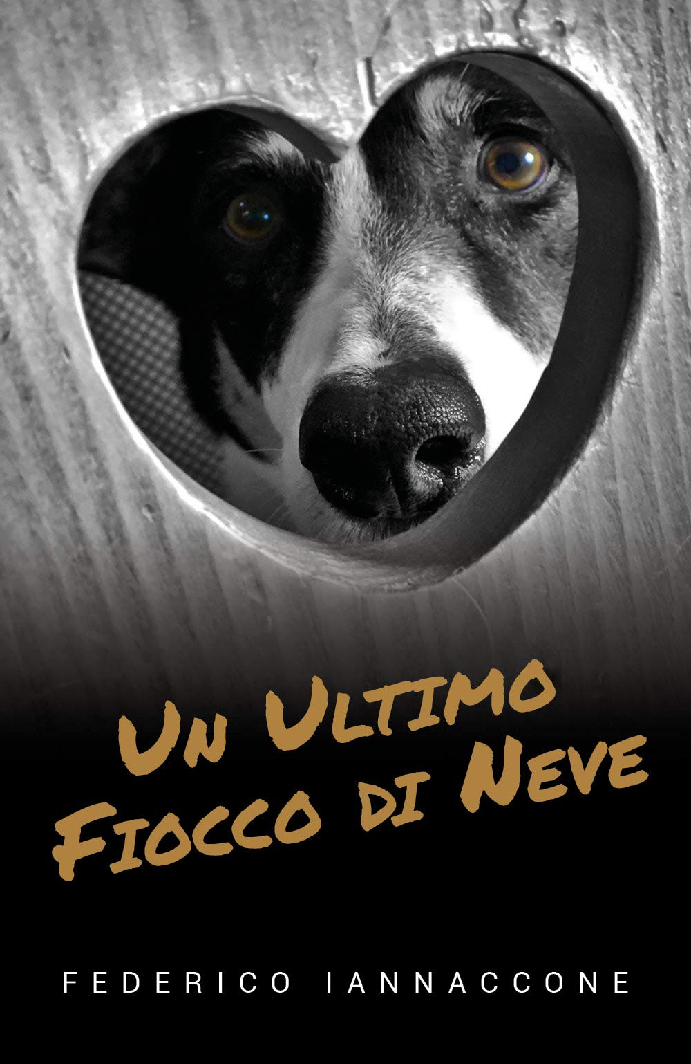 Un ultimo fiocco di neve Contemporary literature