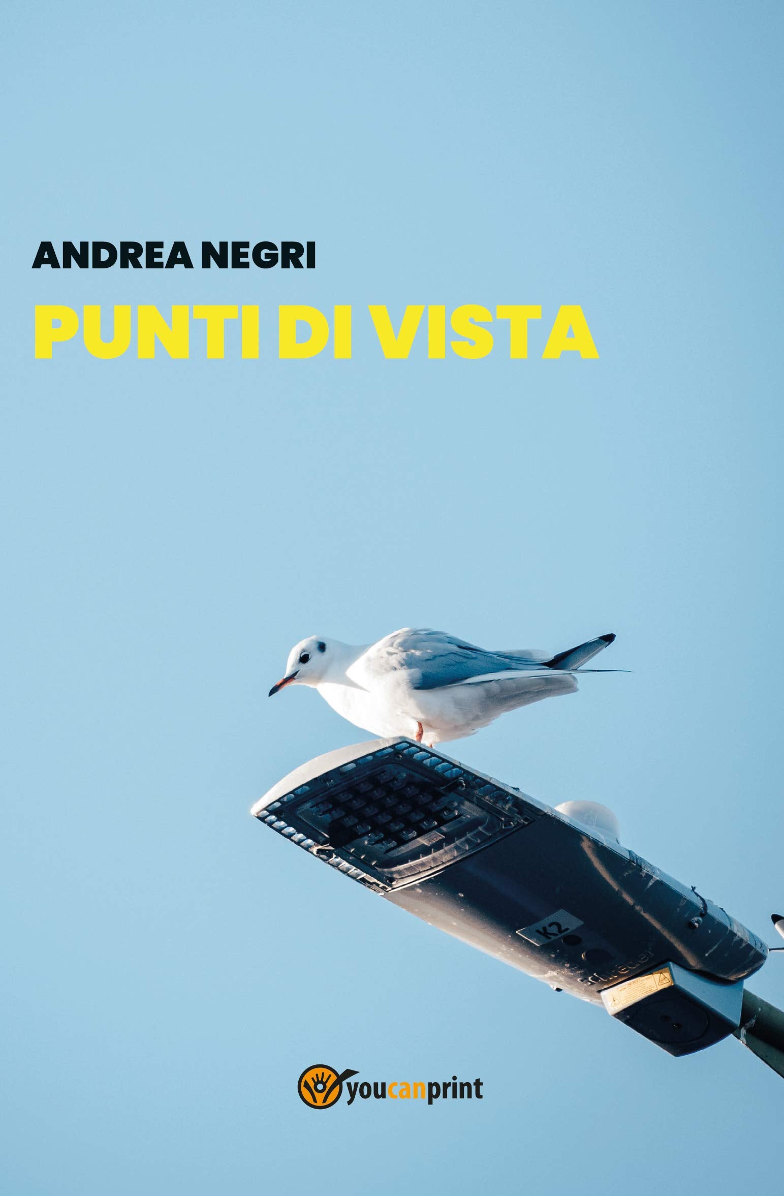 Punti di vista Contemporary literature