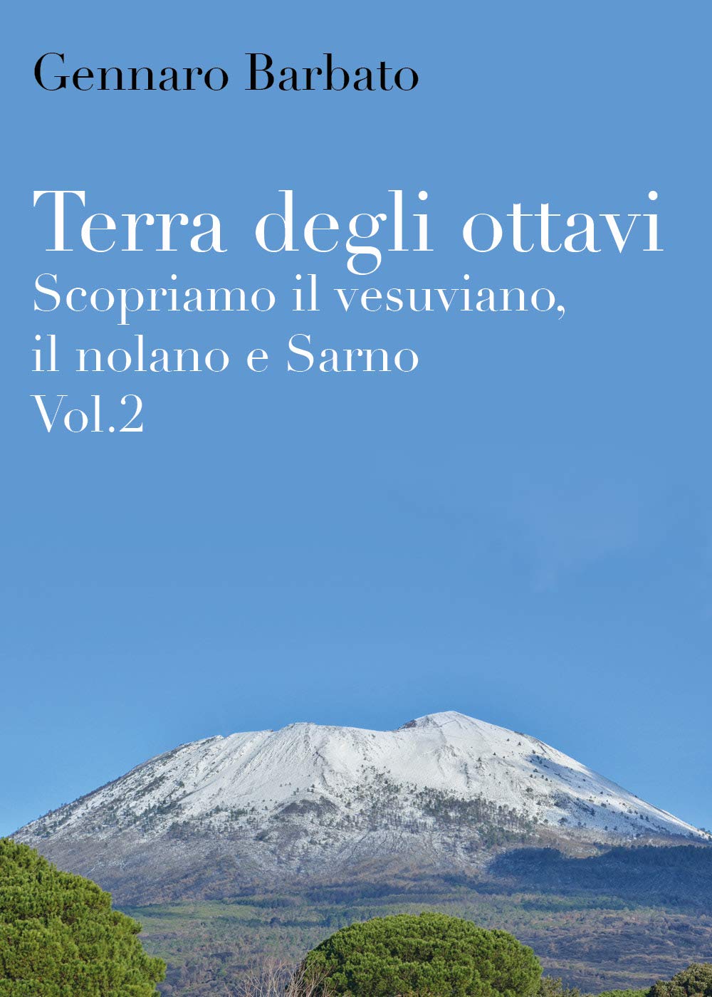 Terra degli ottavi. Scopriamo il vesuviano, il nolano e Sarno (Vol. 2) Books