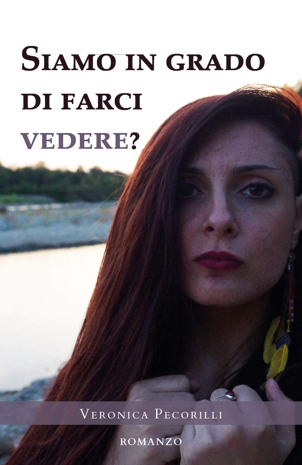 Siamo in grado di farci vedere? book