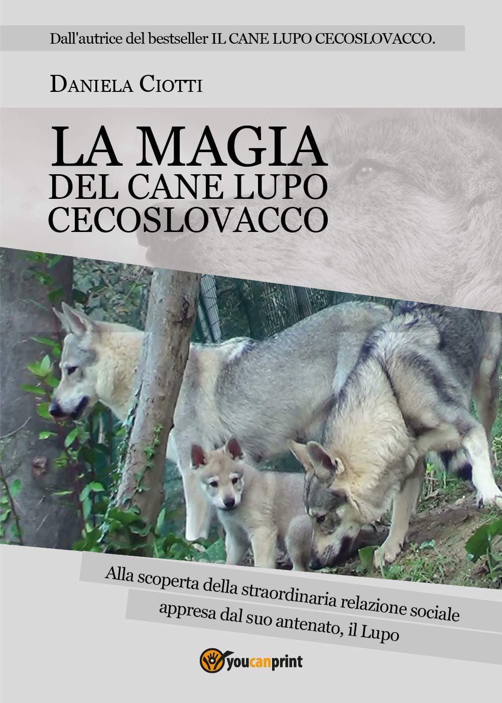 LA MAGIA DEL CANE LUPO CECOSLOVACCO - alla scoperta della straordinaria relazione sociale appresa dal suo antenato, il lupo Pets