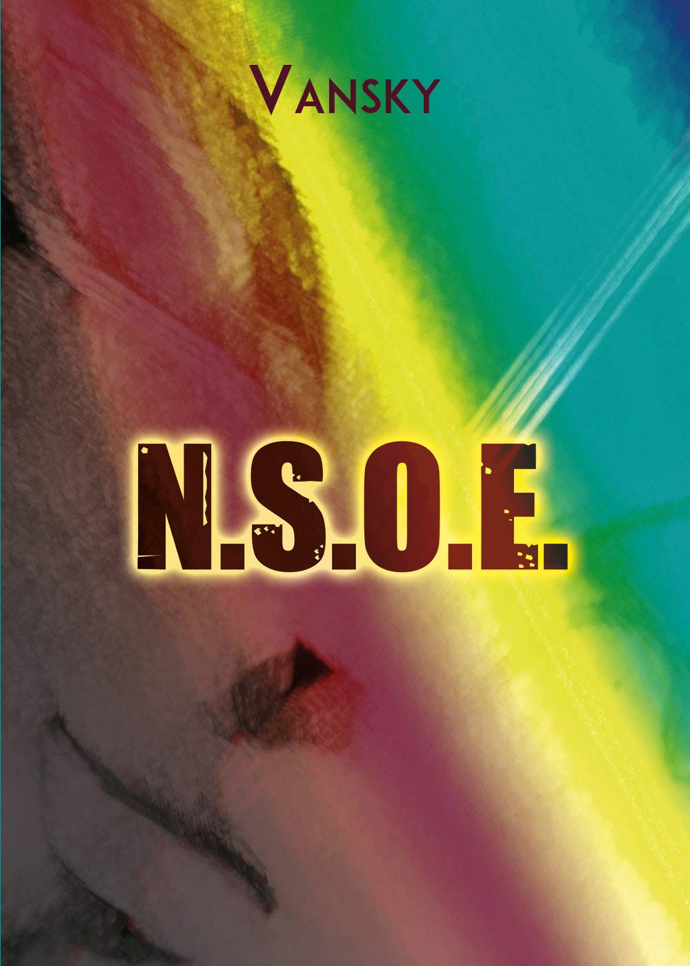 N.S.O.E. Contemporary literature Books