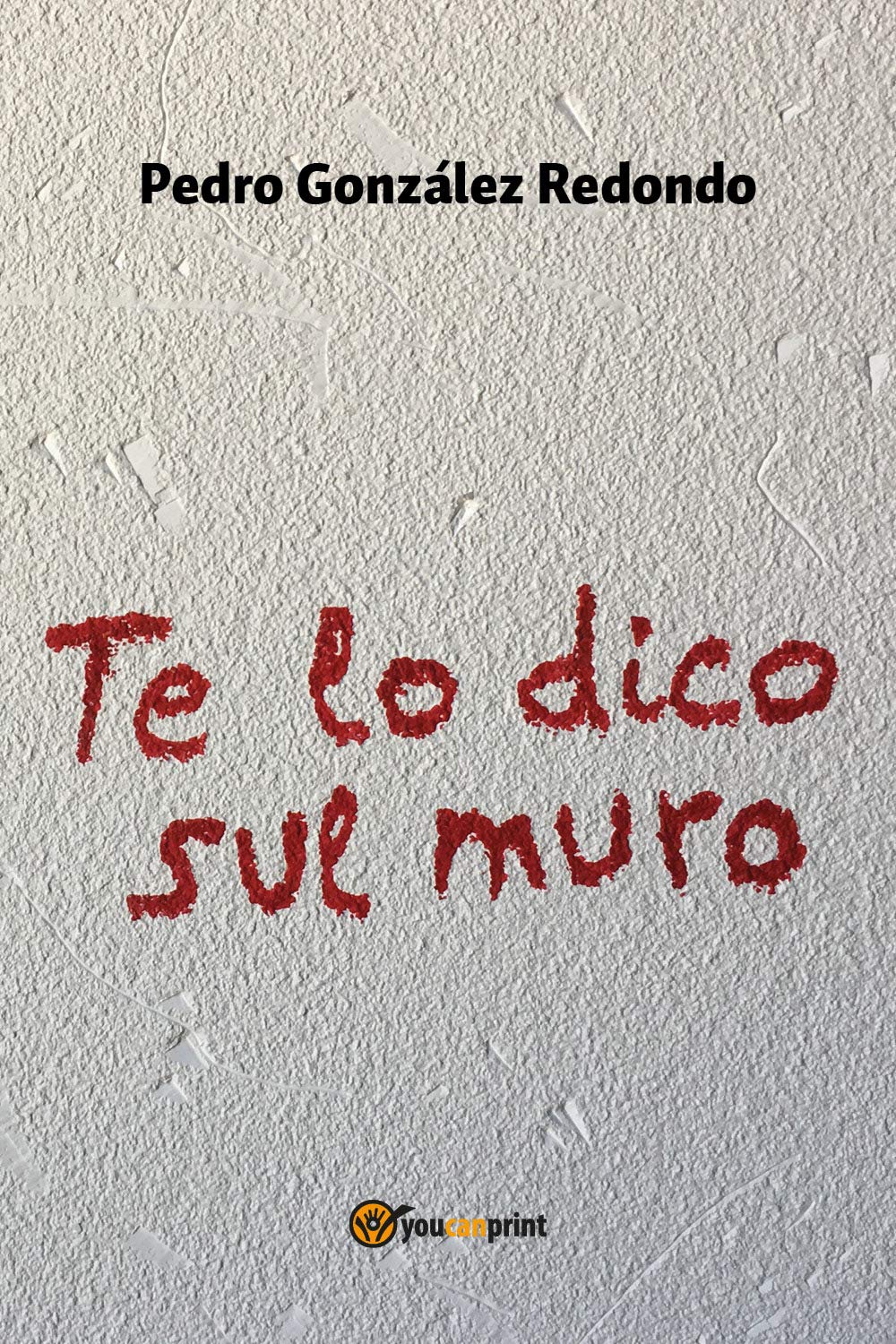 Te lo dico sul muro Contemporary literature