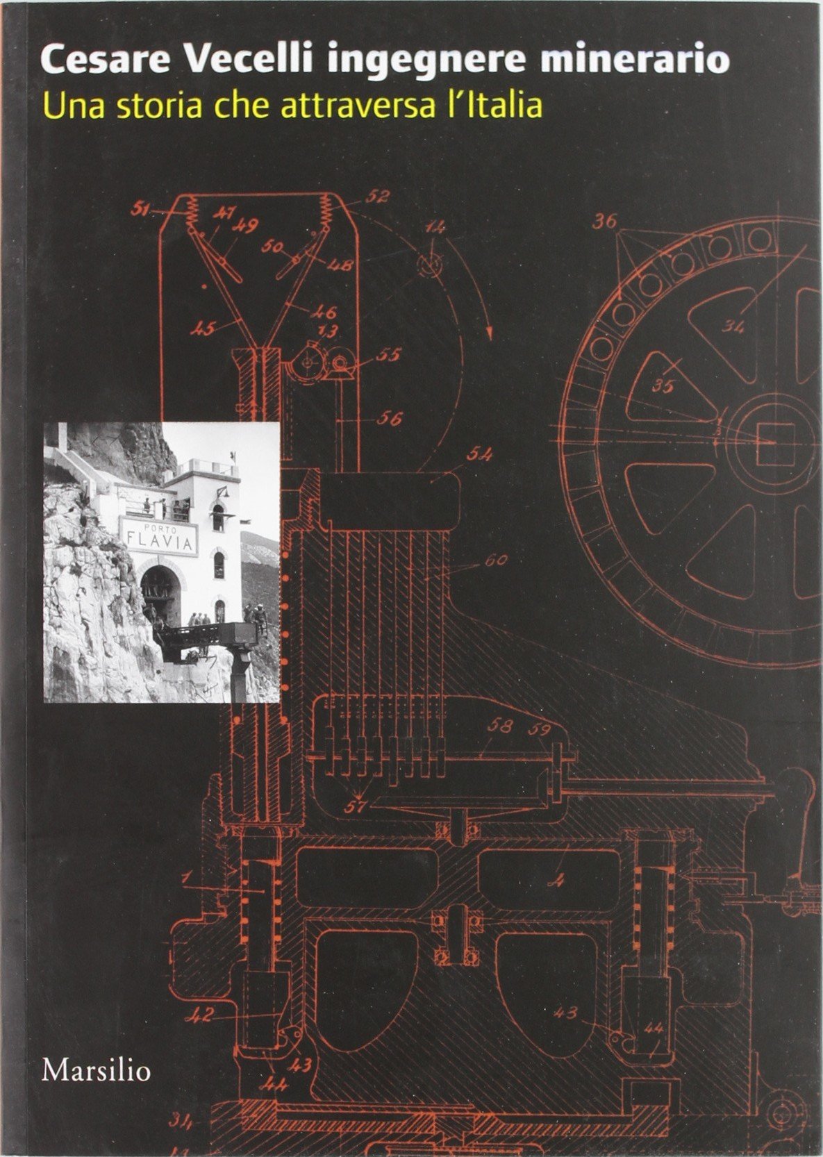 Cesare Vecelli ingegnere minerario. Una storia che attraversa l'Italia book
