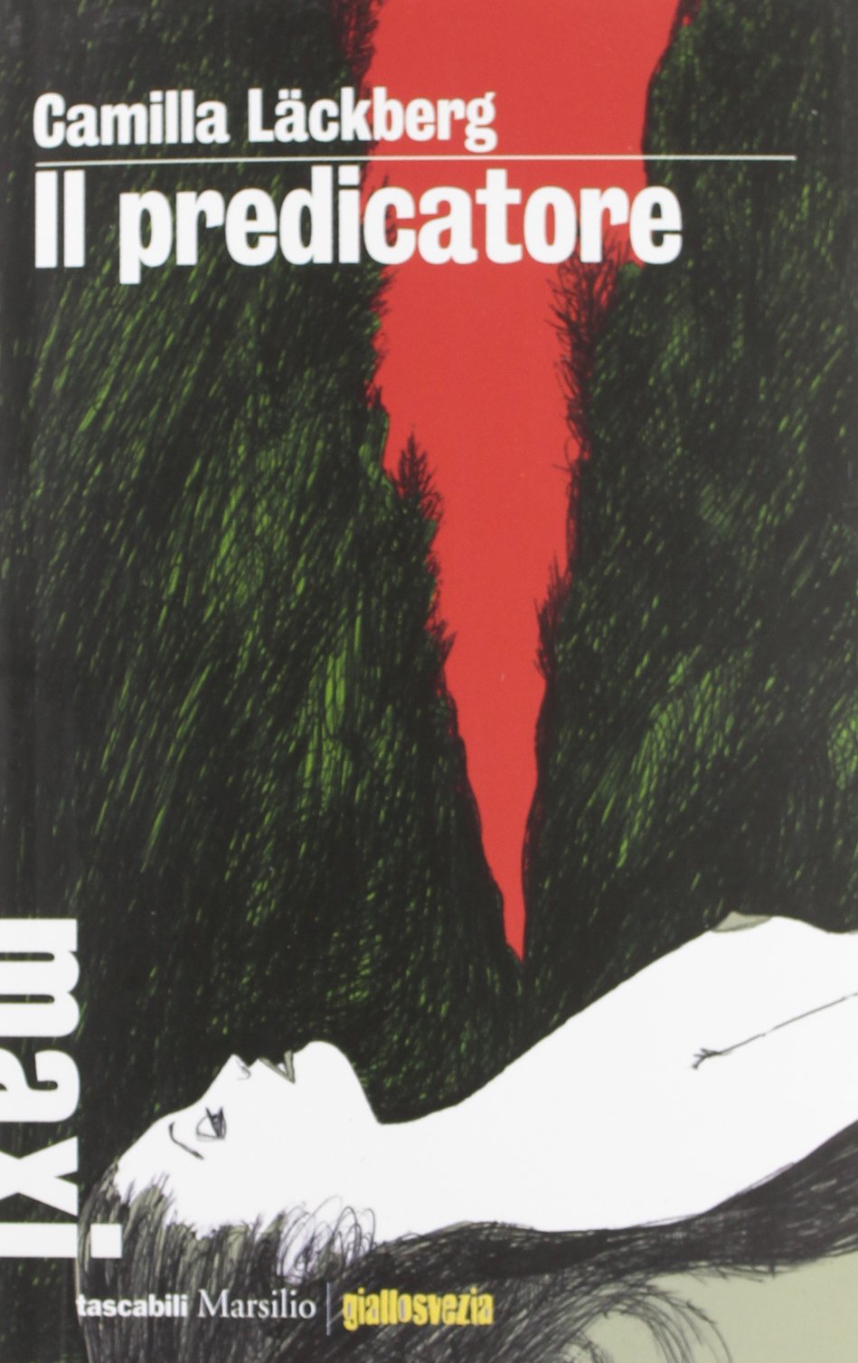 Il predicatore. I delitti di Fjällbacka (Vol. 2) book