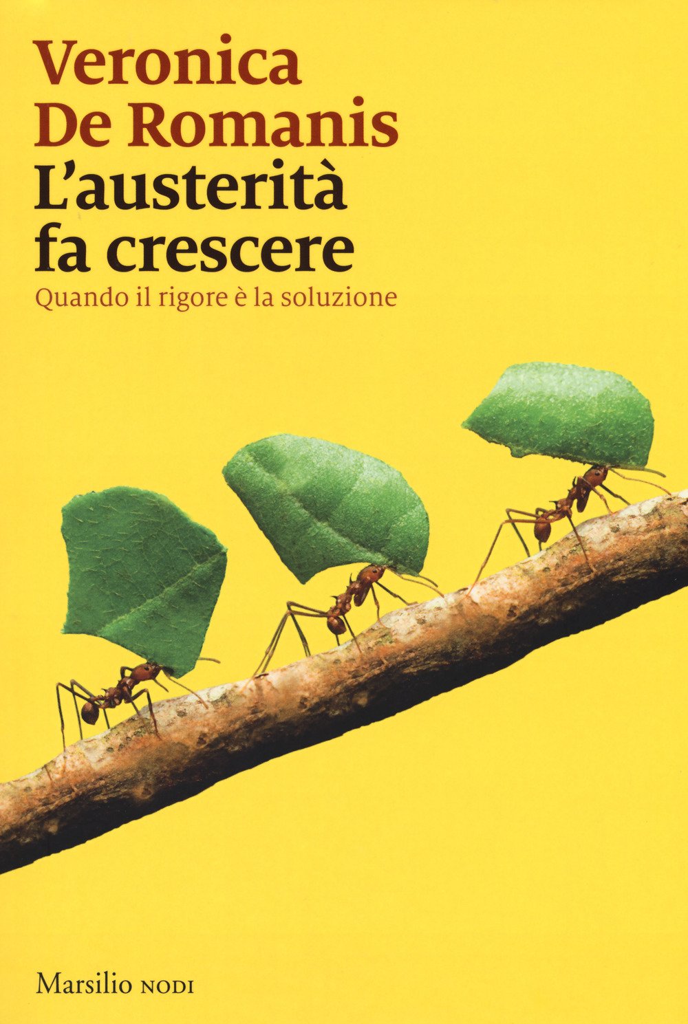 L' austerità fa crescere. Quando il rigore è la soluzione book