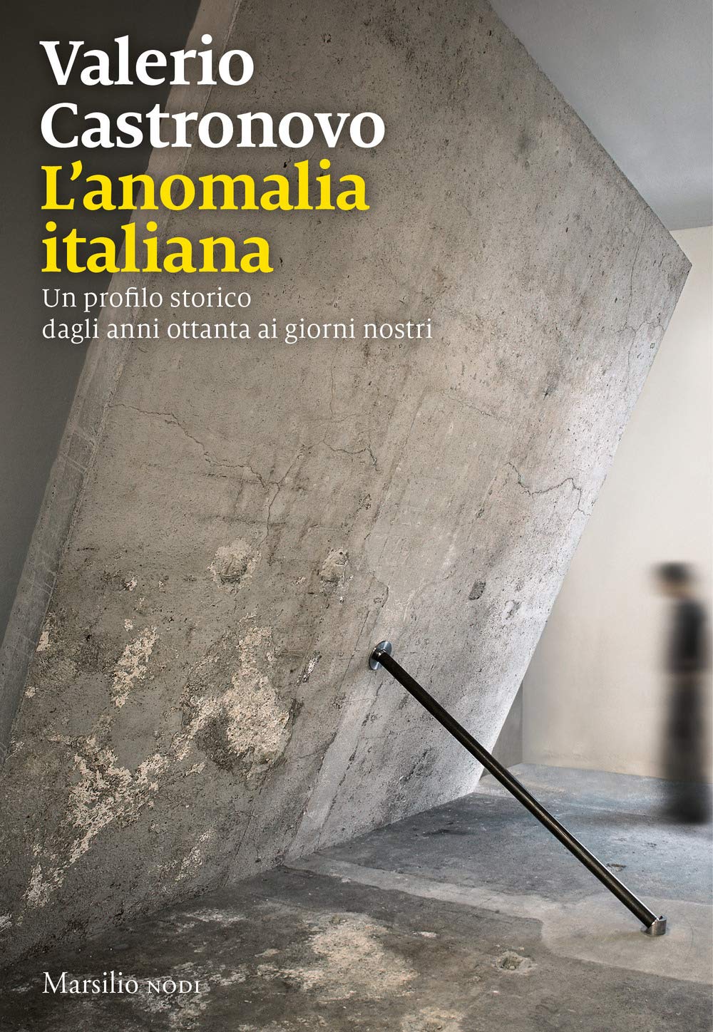 L'anomalia italiana. Un profilo storico dagli anni ottanta ai giorni nostri book