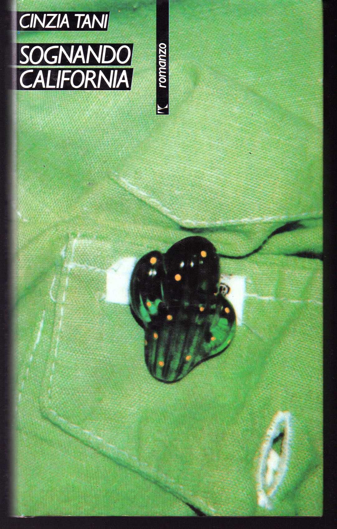 Sognando California (Romanzi e racconti) Contemporary literature