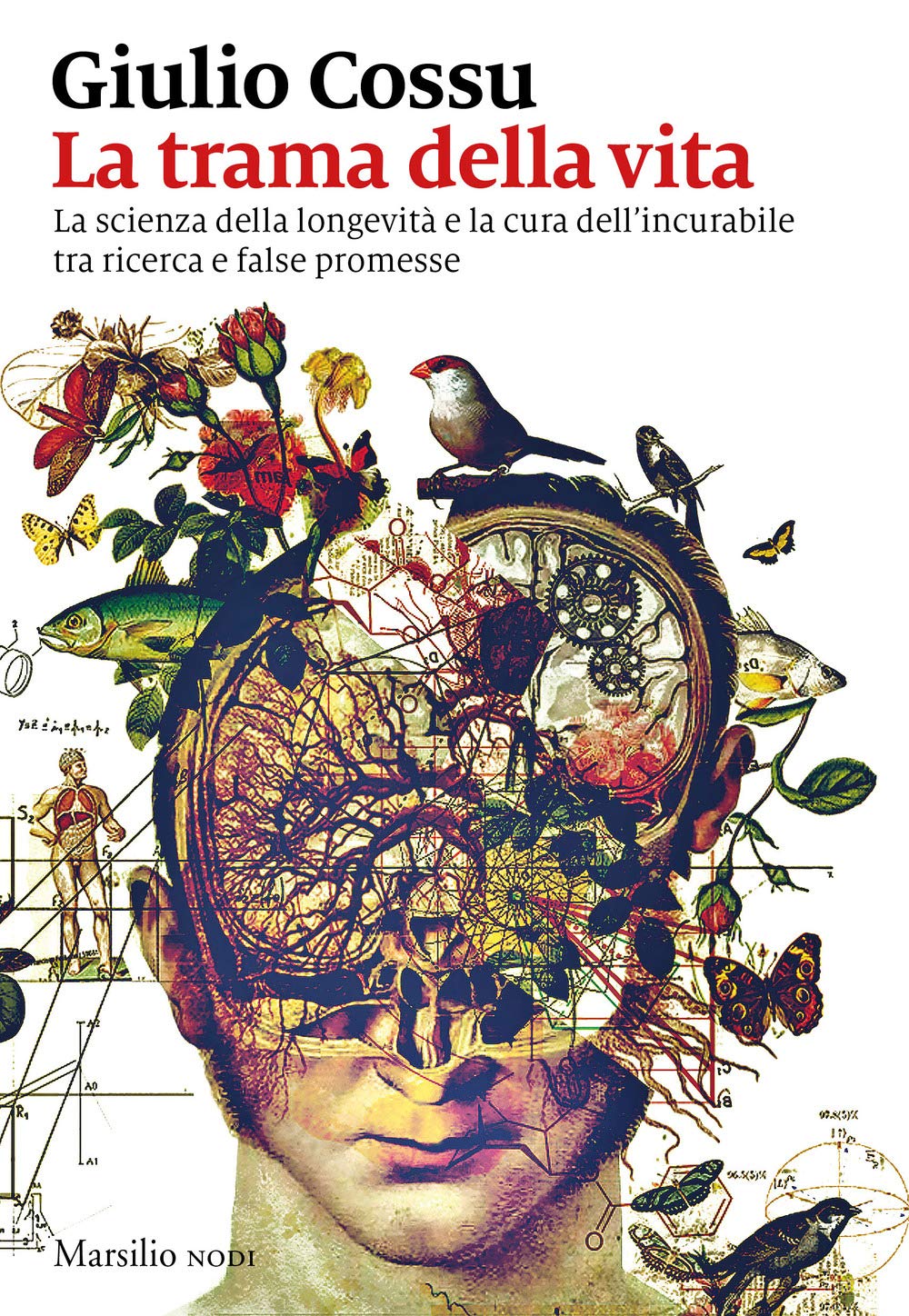 La trama della vita. La scienza della longevità e la cura dell'incurabile tra ricerca e false promesse (I nodi) Medicine