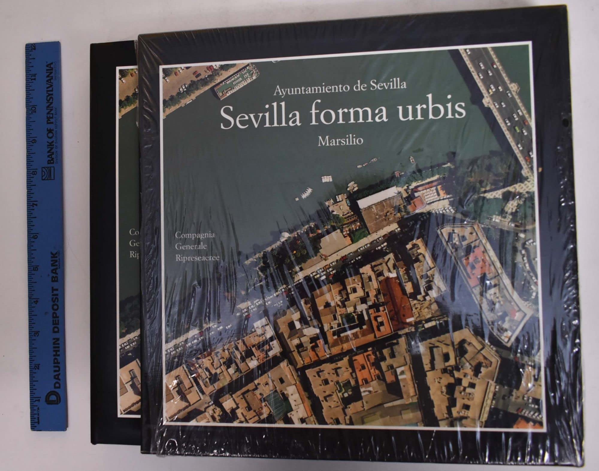 Sevilla Forma Urbis: La Forma Del Centro Historico a Escala 1: 1000 En El Fotoplano Y En El Mapa Books