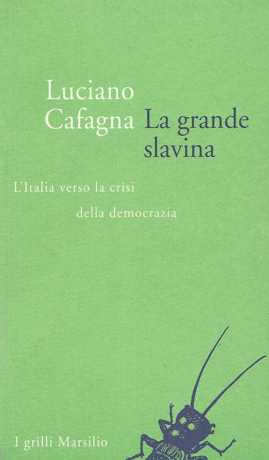 La grande slavina. L'Italia verso la crisi della democrazia (I grilli) Politics & History
