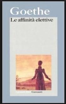 Le affinità elettive book
