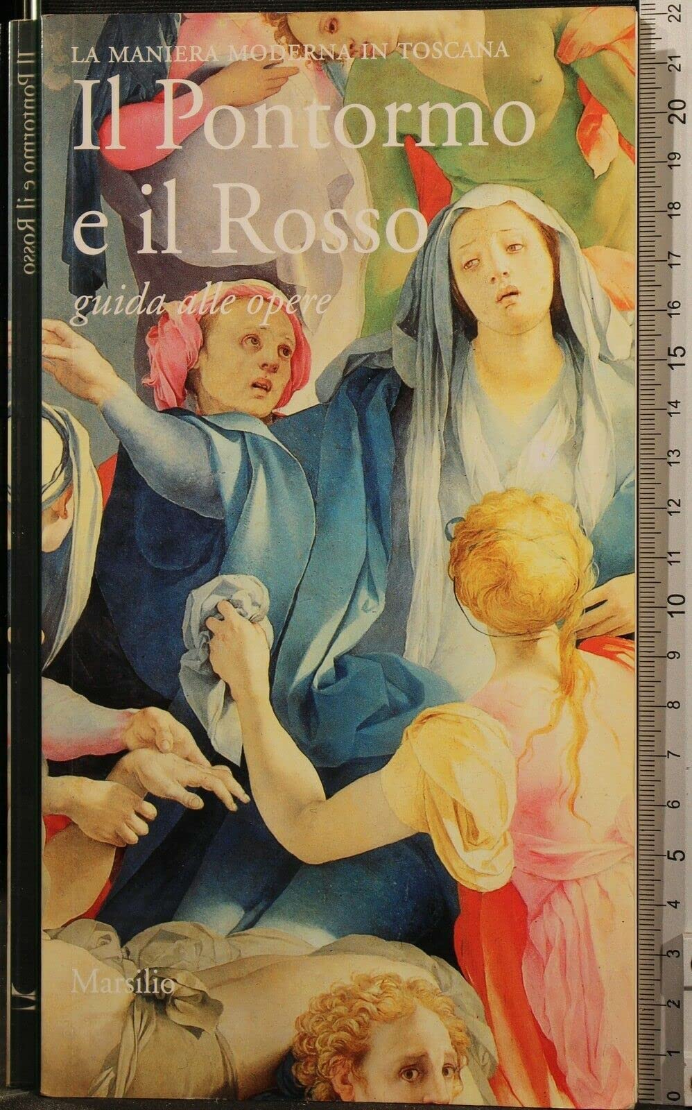 Il Pontormo e il Rosso. Guida alle opere Film, Art & Culture