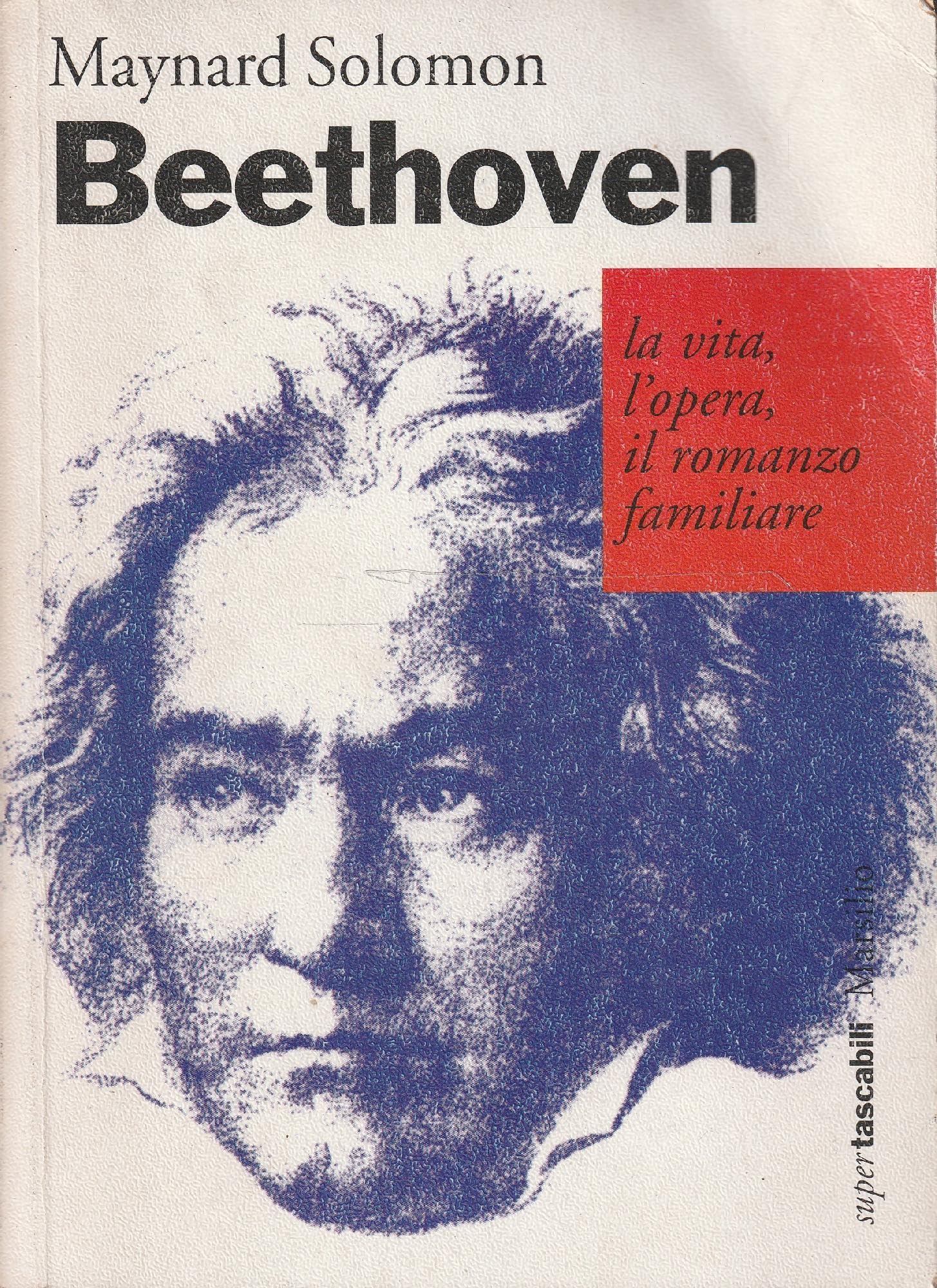 Beethoven. La vita, l'opera, il romanzo familiare (Tascabili. Saggi) Art & Literature