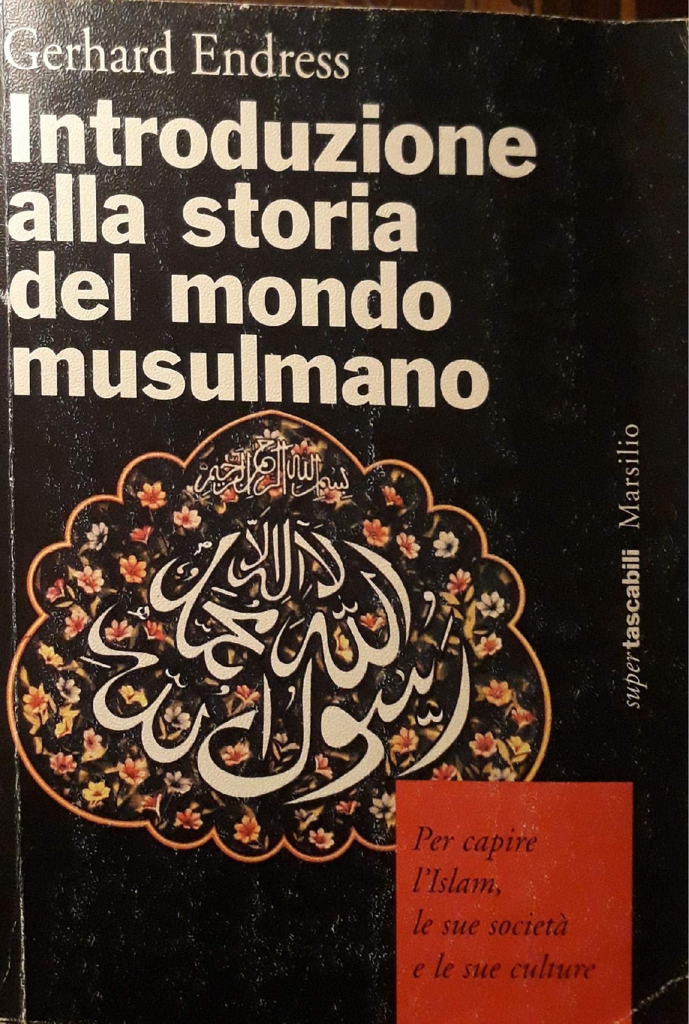 Introduzione alla storia del mondo musulmano. Per capire l'Islam, le sue società e le sue culture (Supertascabili, Band 12) Politics & History
