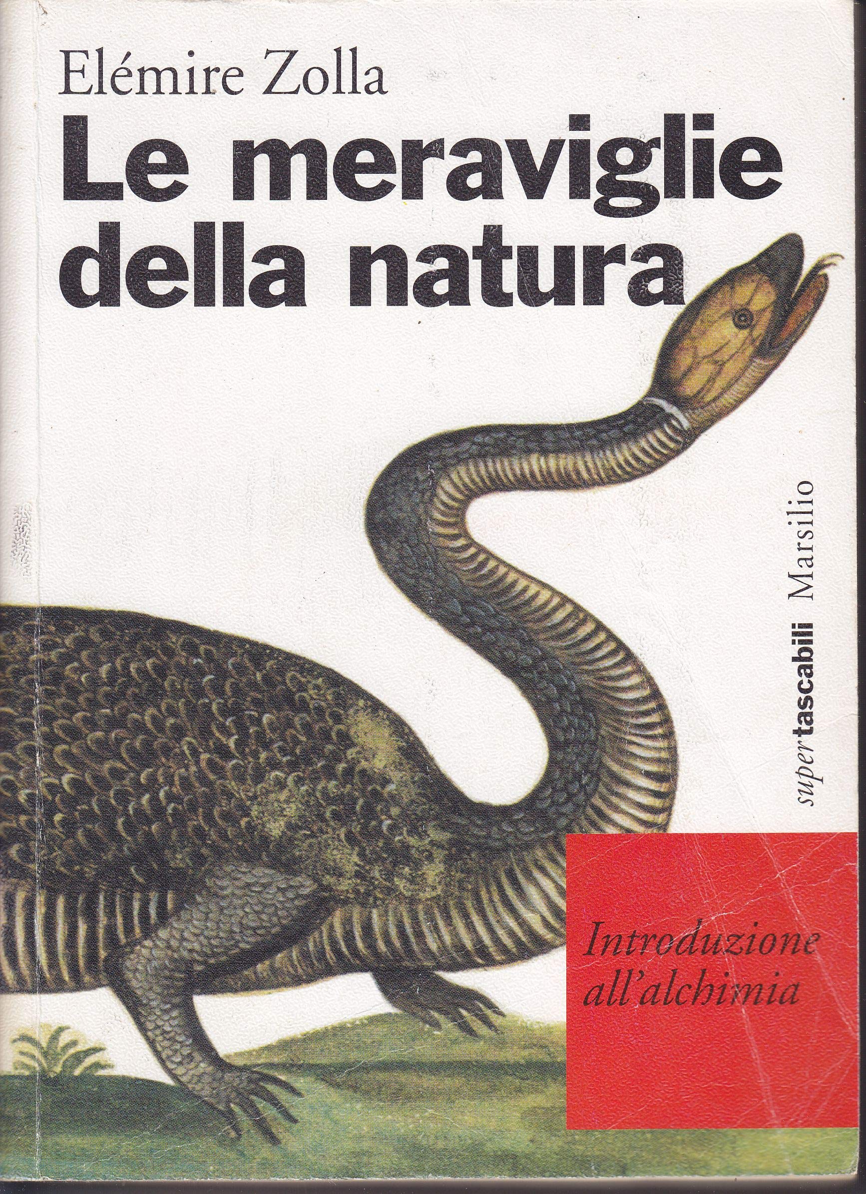 Le meraviglie della natura. Introduzione all'alchimia (I tascabili Marsilio, Band 26) Natural Sciences