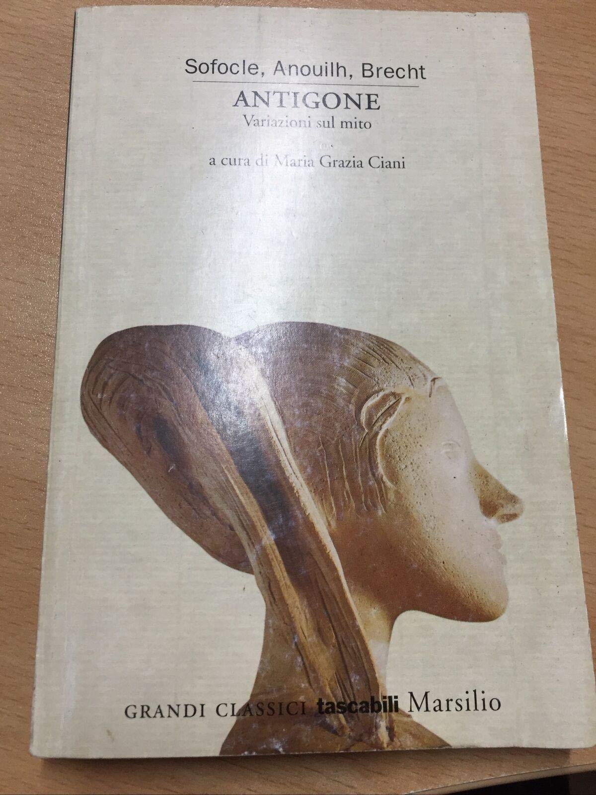 Antigone. Variazioni sul mito book