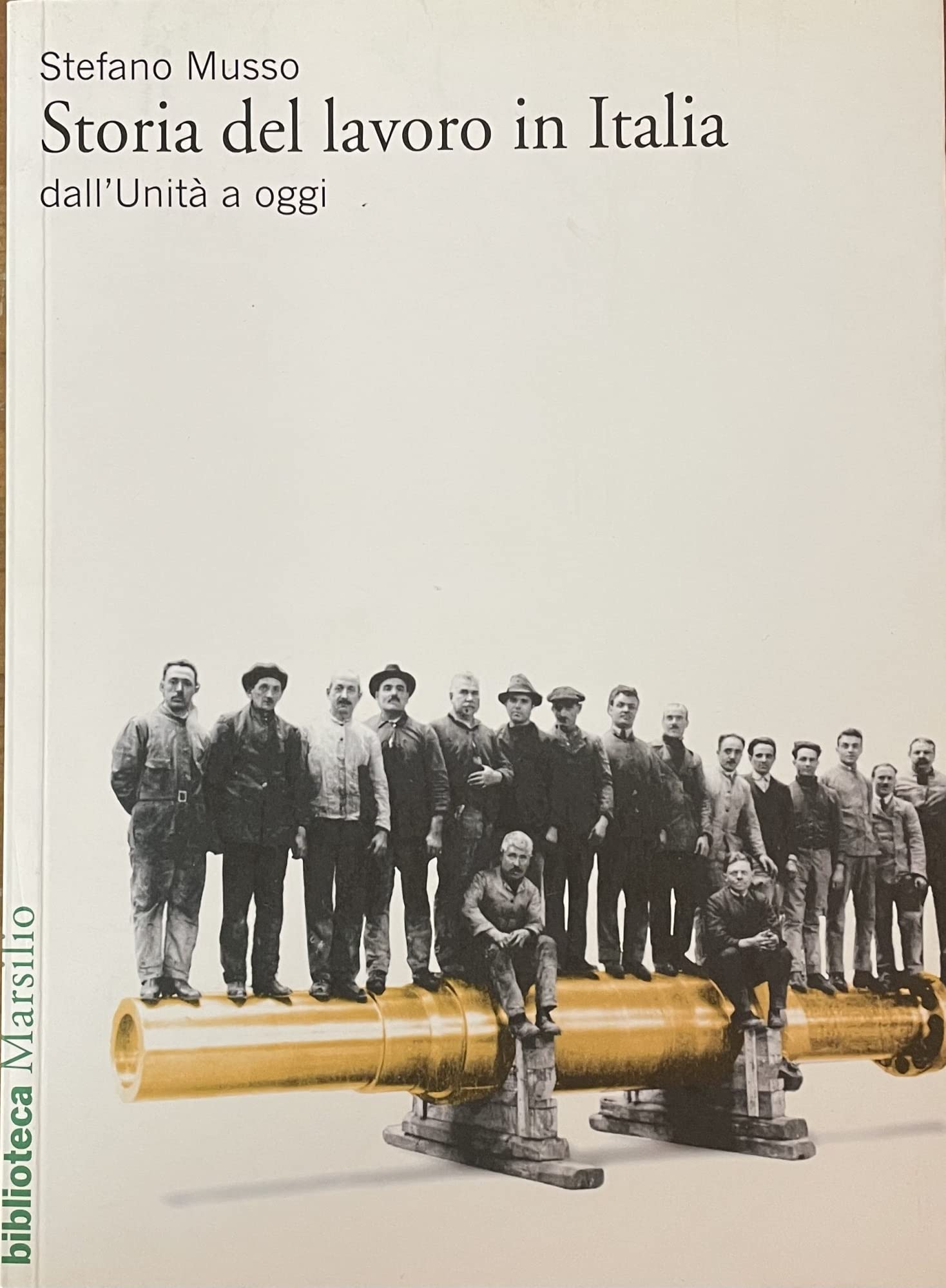 Storia del lavoro in Italia dall'Unità a oggi book