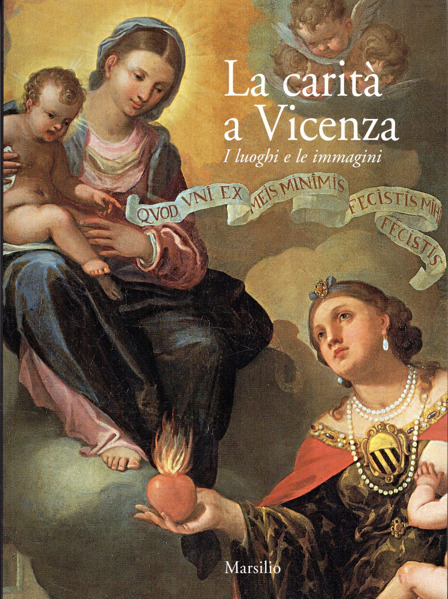 La carità a Vicenza. I luoghi e le immagini book