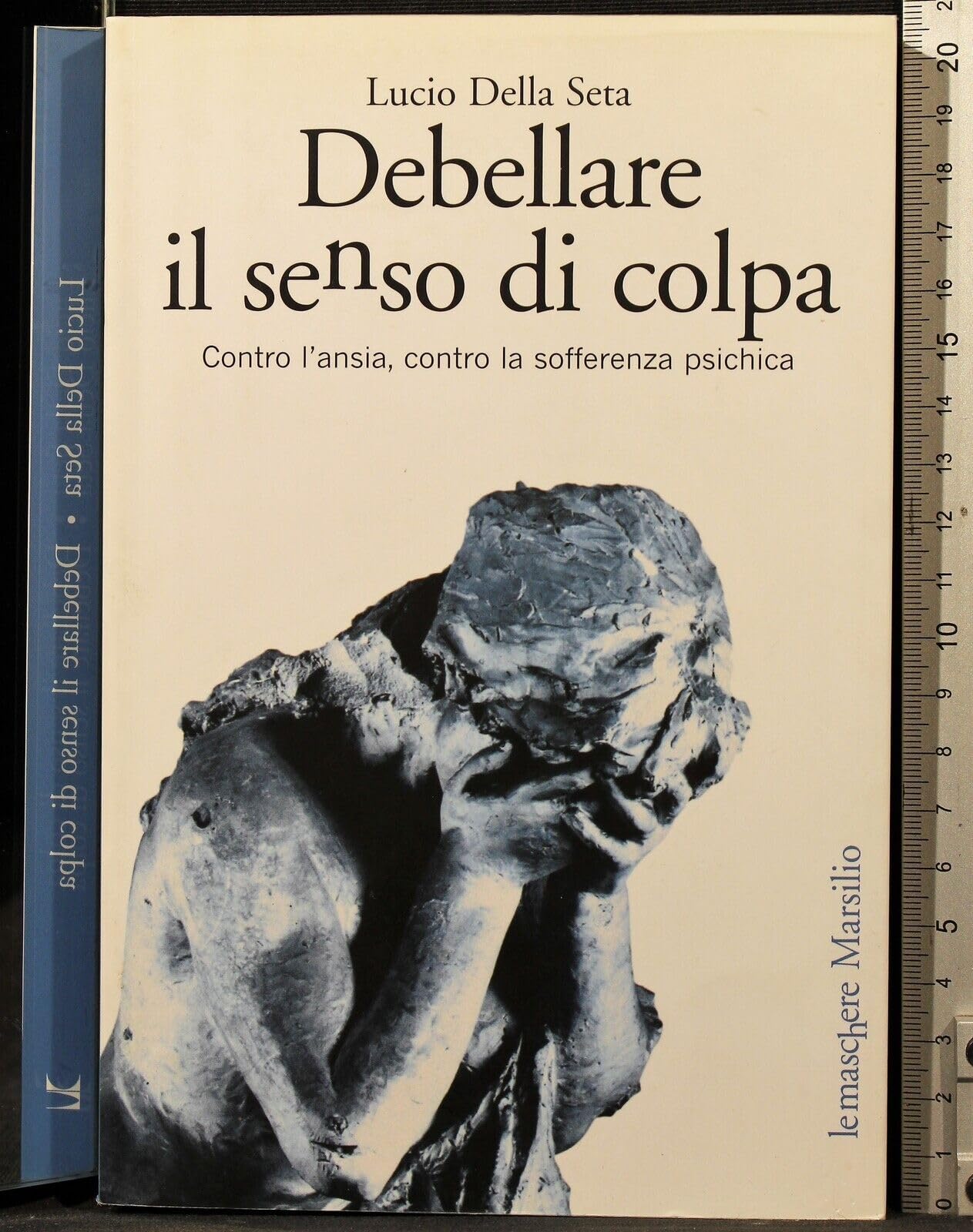 Debellare il senso di colpa. Contro l'ansia, contro la sofferenza psichica (Le maschere) Psychology