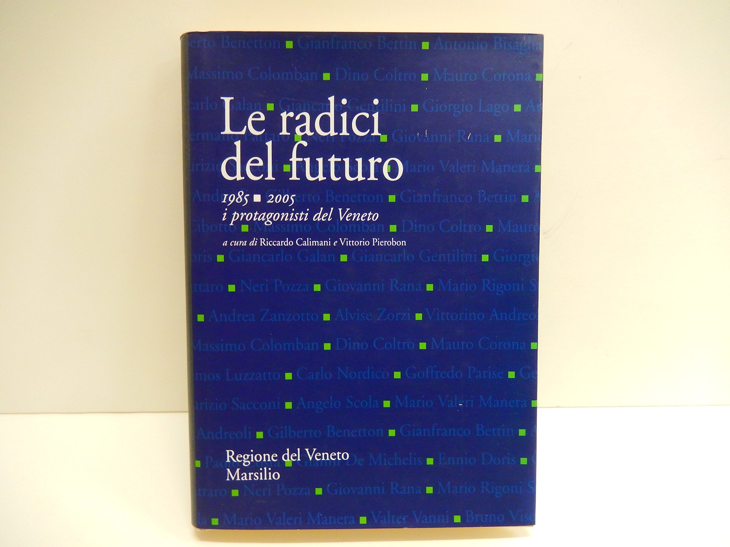 Le radici del futuro. 1985-2005 i protagonisti del Veneto (Ricerche) Politics & History
