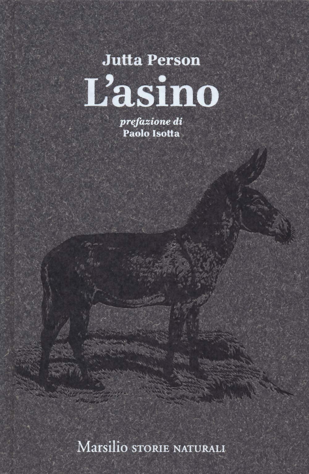 Product Image: L' asino