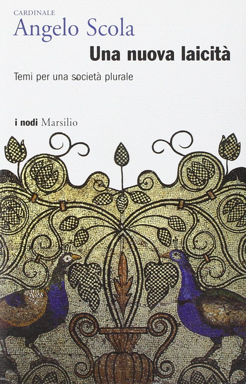 Una nuova laicità. Temi per una società plurale book
