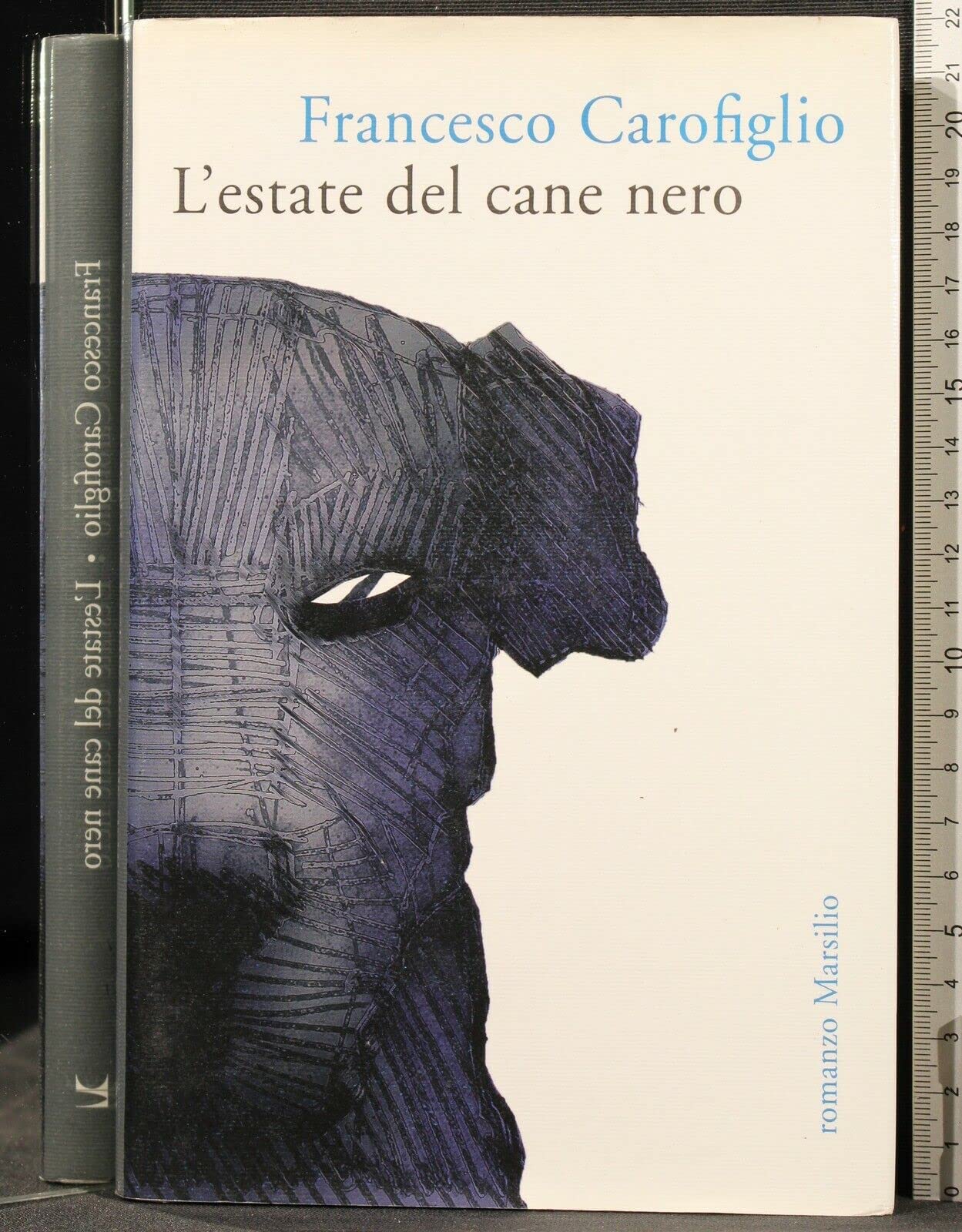 L'estate del cane nero (Romanzi e racconti) Contemporary literature