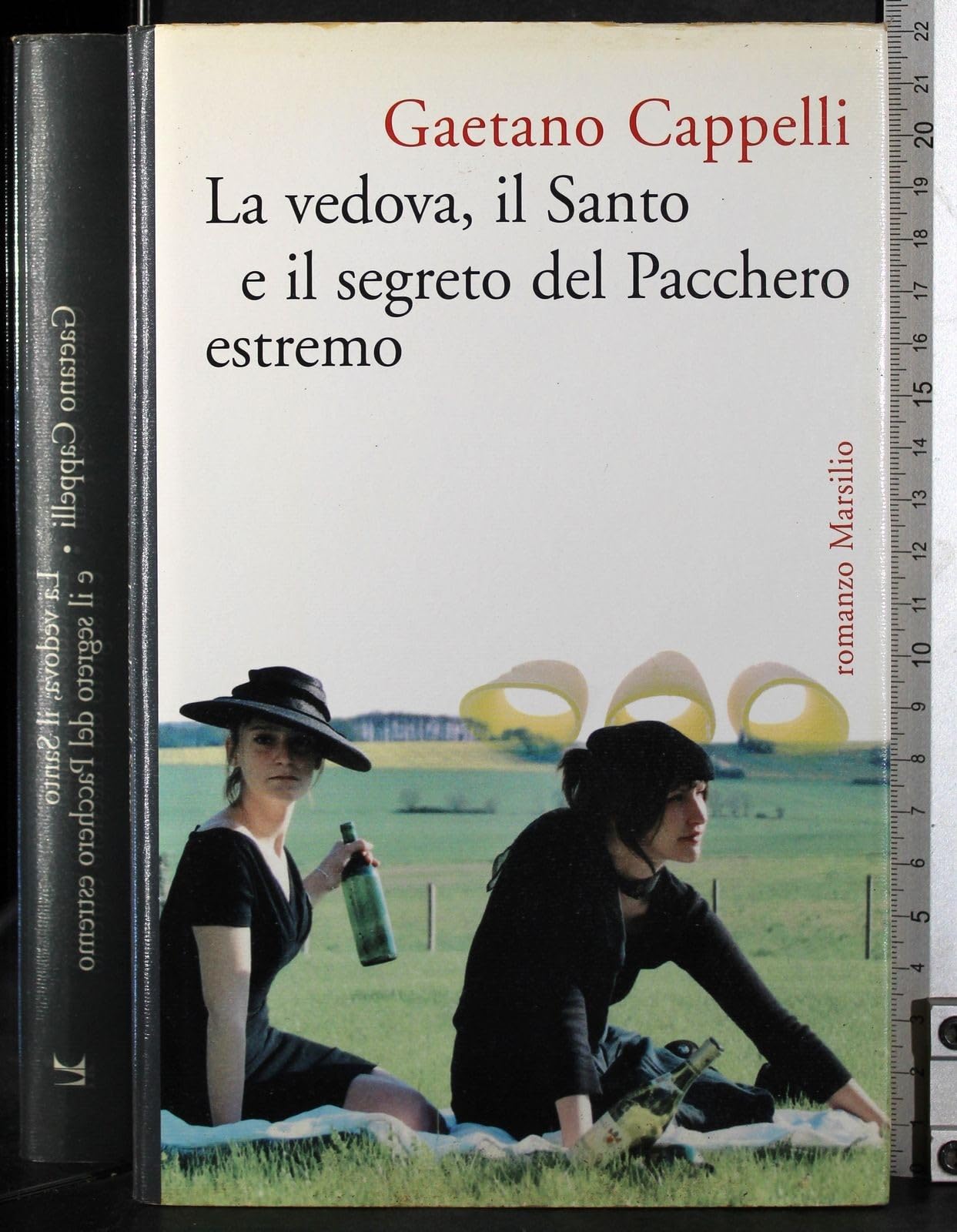 La vedova, il Santo e il segreto del Pacchero estremo (Romanzi e racconti) Contemporary literature