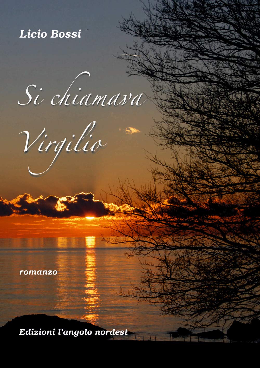 Product Image: Si chiamava Virgilio