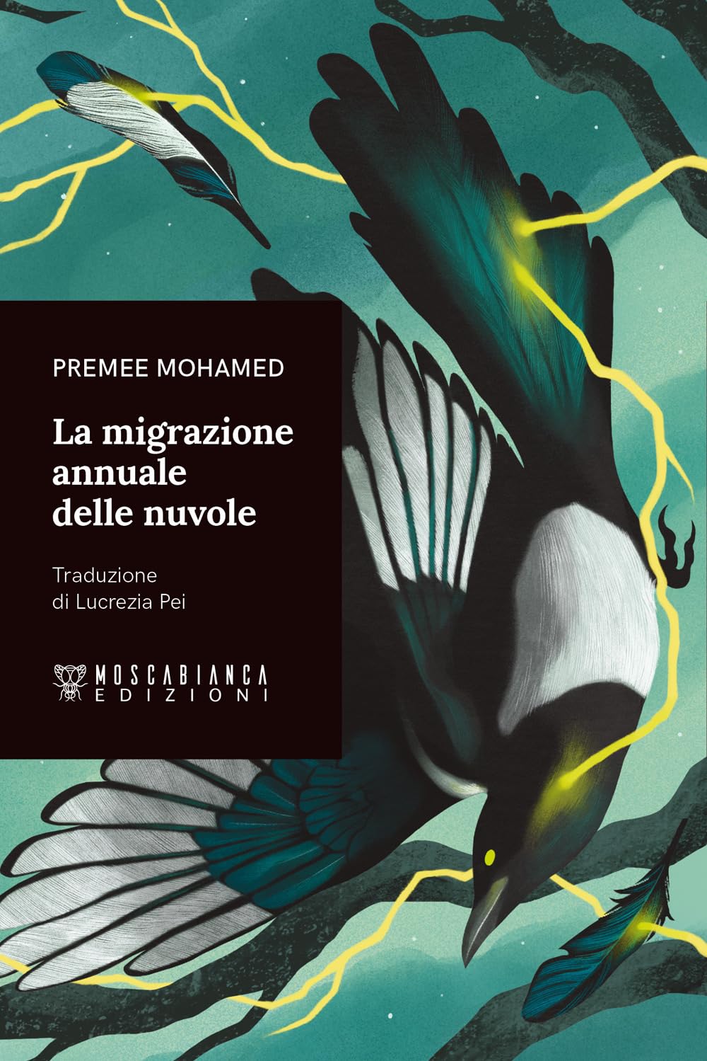 La migrazione annuale delle nuvole book