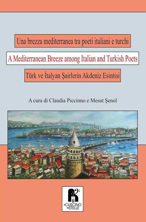 Una brezza mediterranea tra poeti italiani e turchi. Ediz. italiana, turca e inglese Poetry