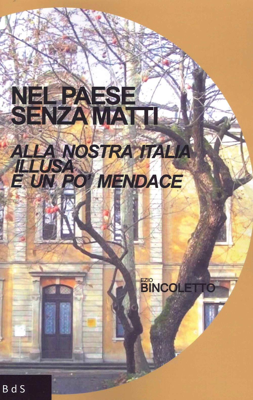 Nel paese senza matti. Alla nostra Italia illusa e un po' mendace Social Sciences