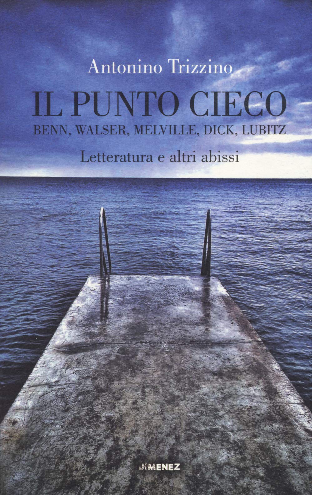 Il punto cieco. Benn, Walser, Melville, Dick, Lubitz. Letteratura e altri abissi book