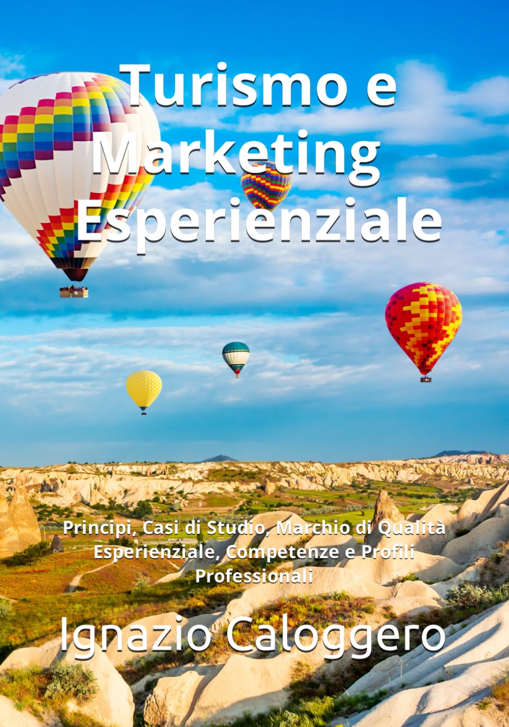 Turismo e Marketing Esperienziale: Principi, Casi di Studio, Marchio di Qualità Esperienziale, Competenze e Profili Professionali book