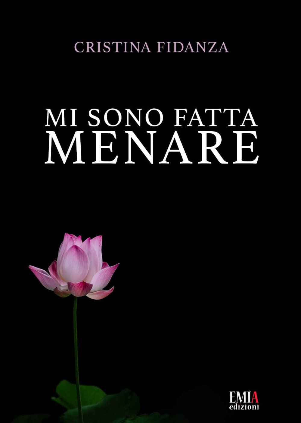 Mi sono fatta menare book