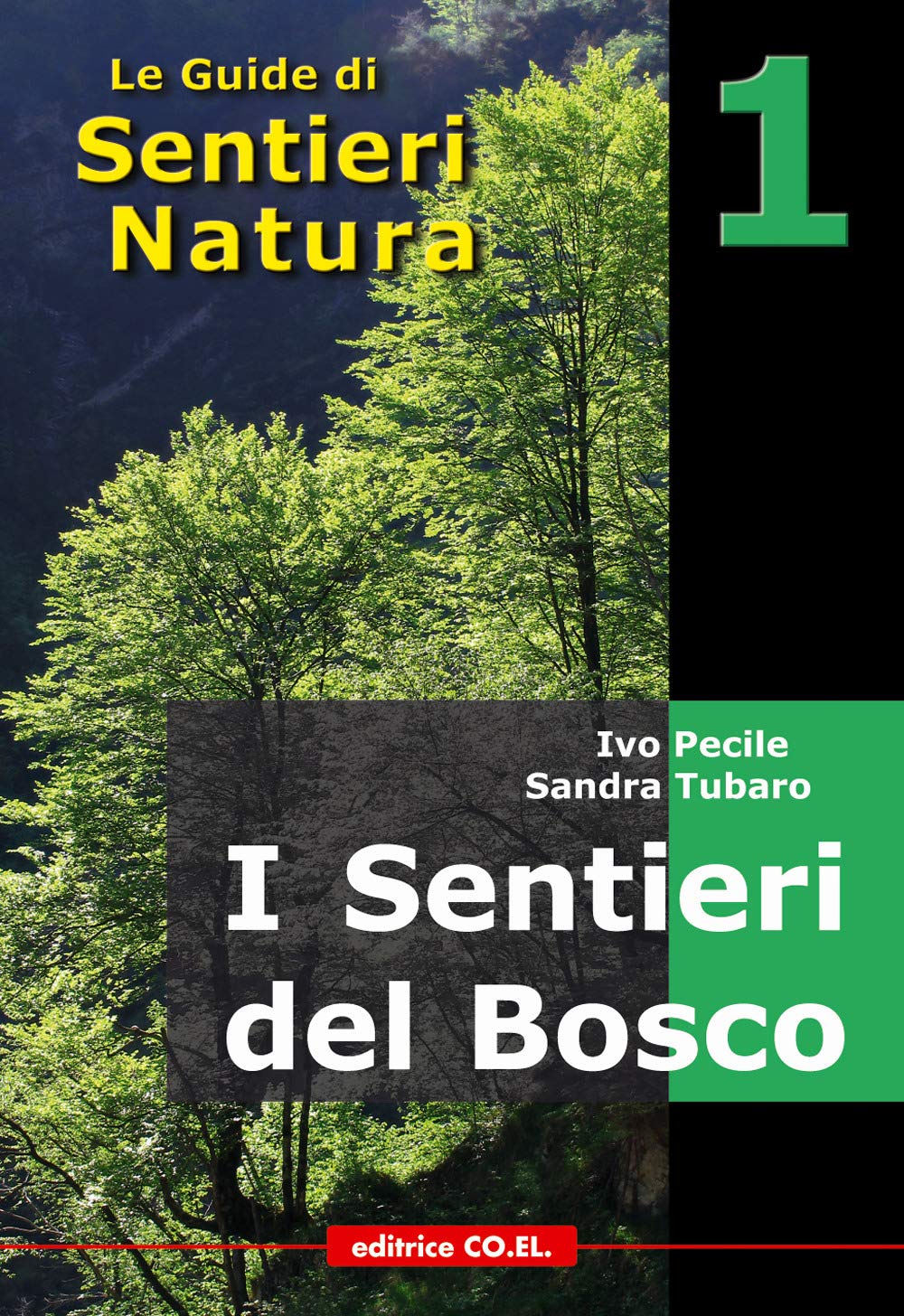 I sentieri del bosco. 40 itinerari escursionistici alla scoperta deli boschi della montagna friulana book