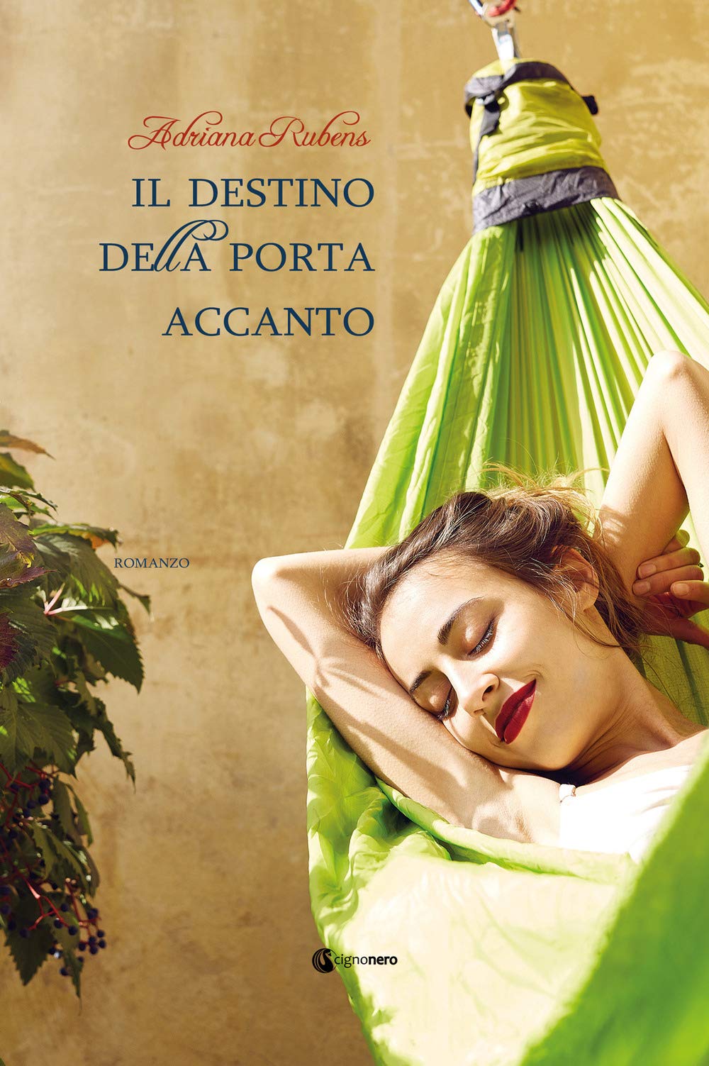 Il destino della porta accanto book