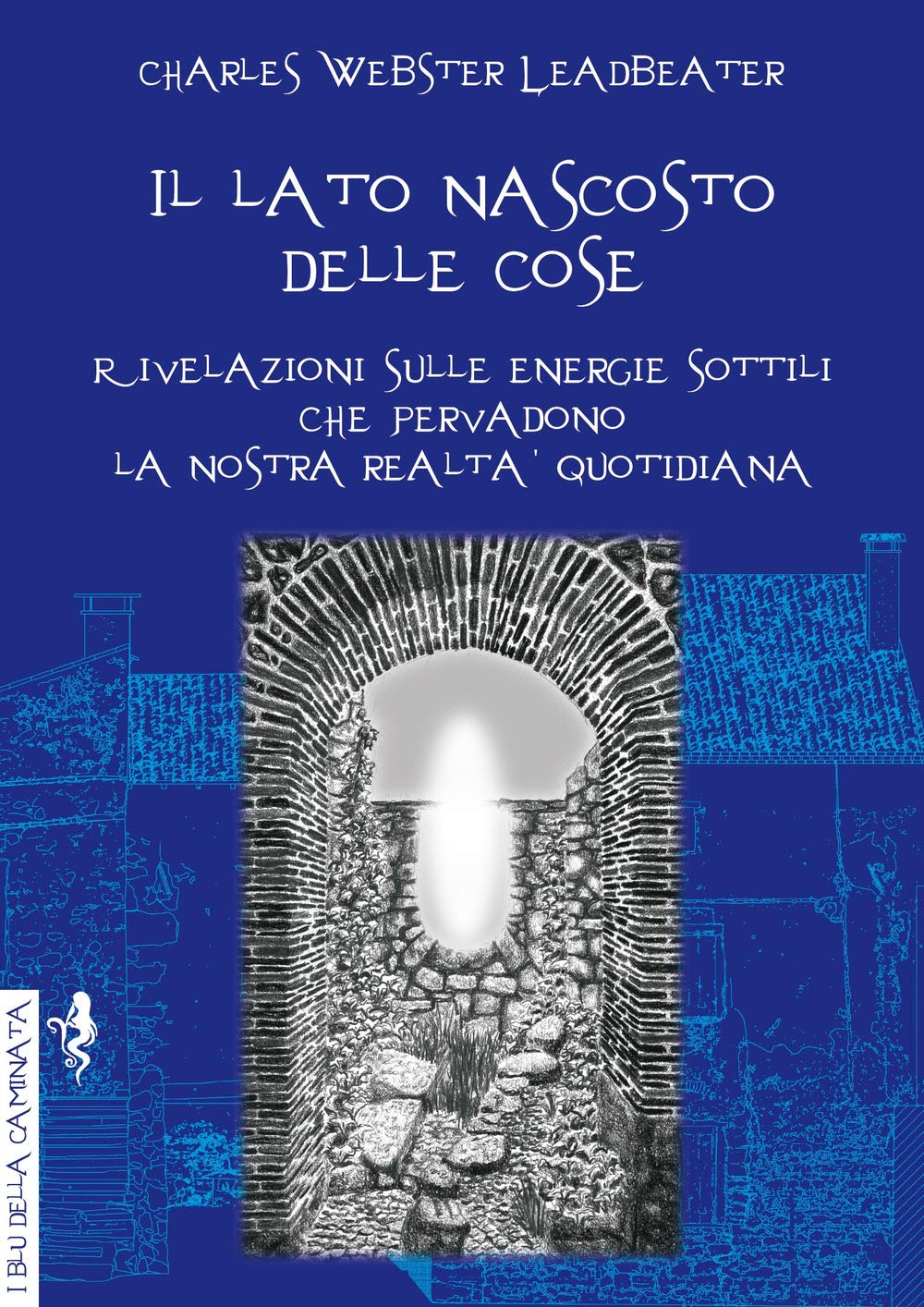 Il lato nascosto delle cose. Rivelazioni sulle energie sottili che pervadono la nostra realtà quotidiana book