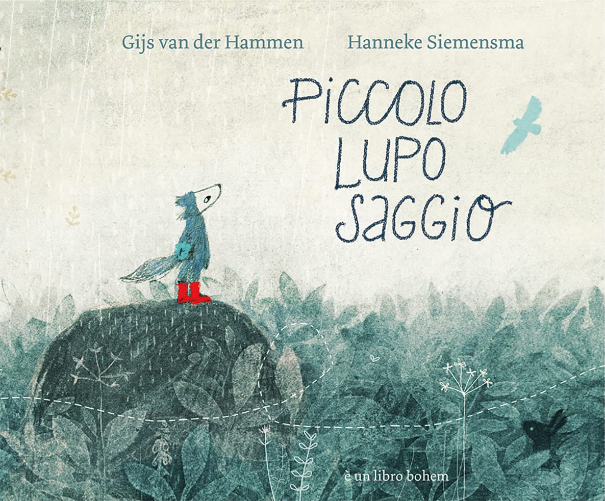 Piccolo lupo saggio. Ediz. illustrata book