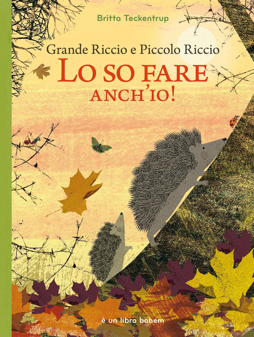 Grande riccio e piccolo riccio. Lo so fare anch'io! Ediz. illustrata book