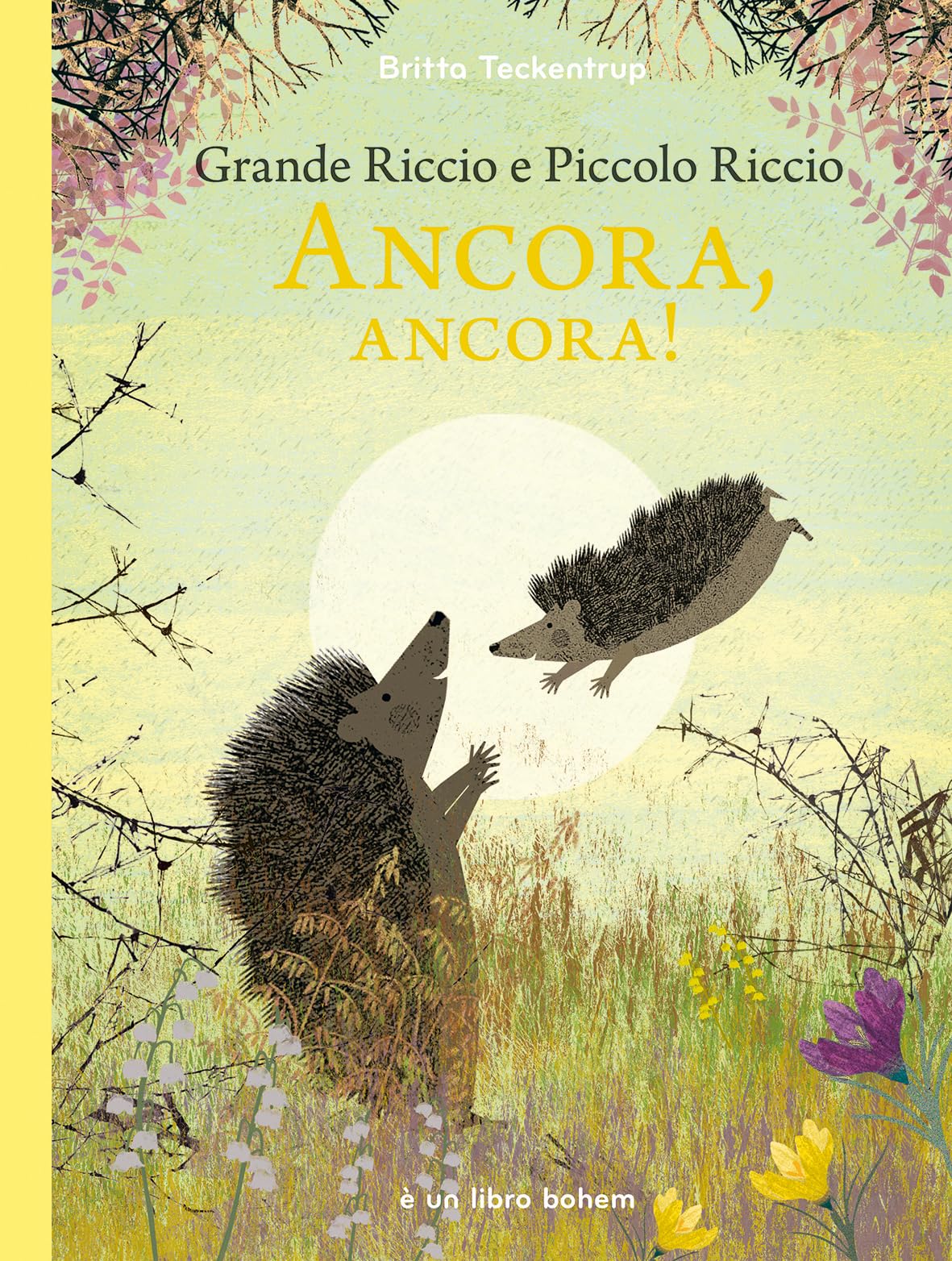 Grande riccio e piccolo riccio. Ancora, ancora! Ediz. illustrata book