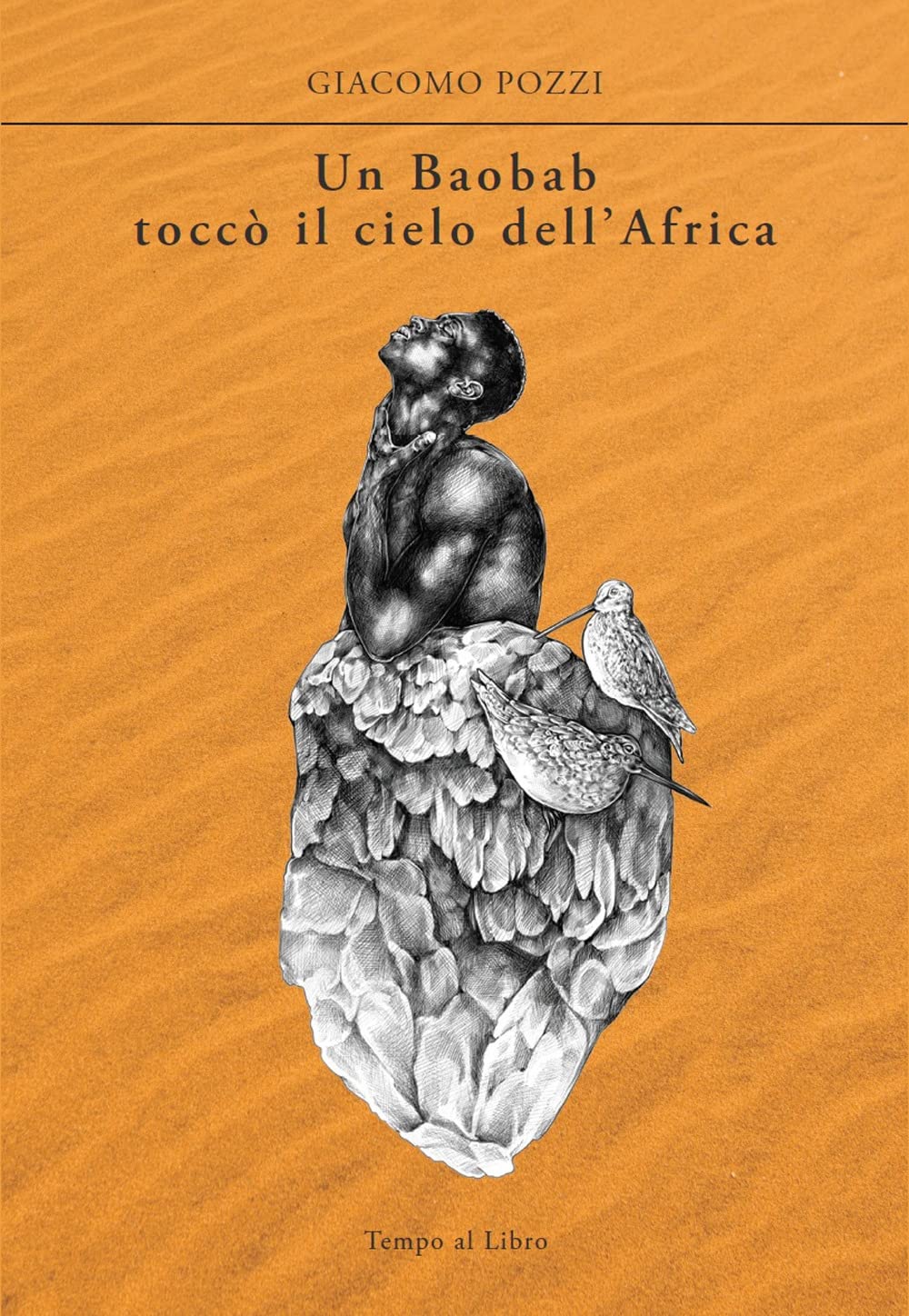 Un baobab toccò il cielo dell'Africa Contemporary literature