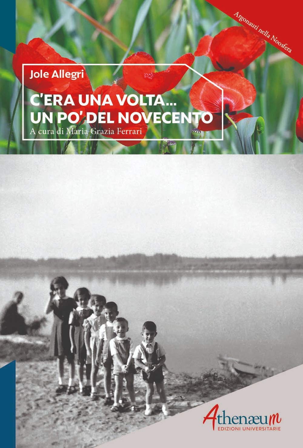 C'era una volta... un po' del Novecento book