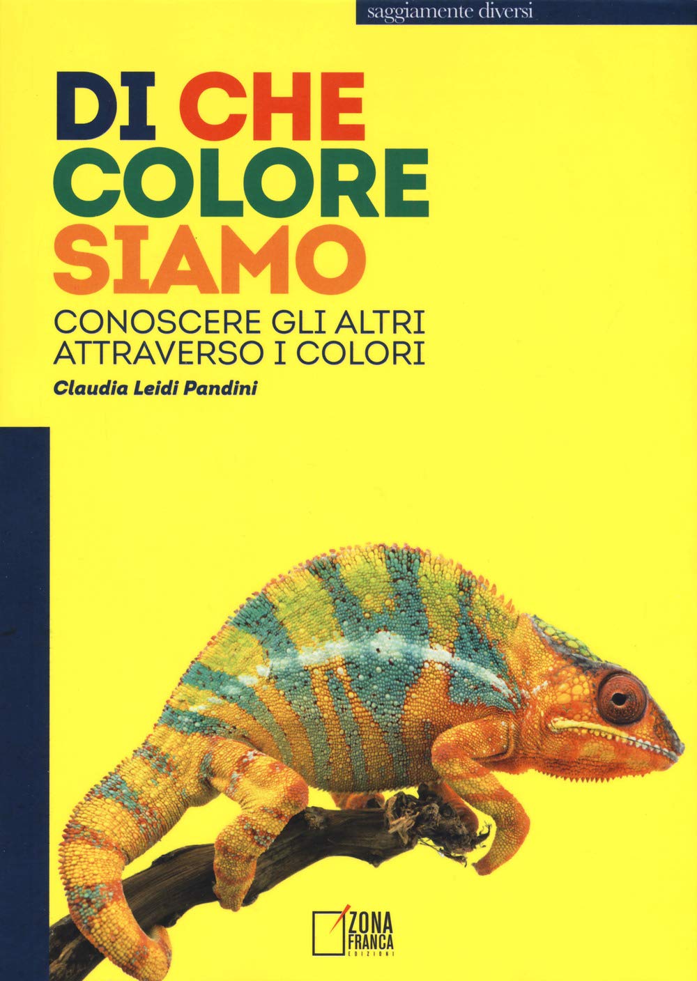 Di che colore siamo. Conoscere gli altri attraverso i colori (Saggiamente diversi) Books