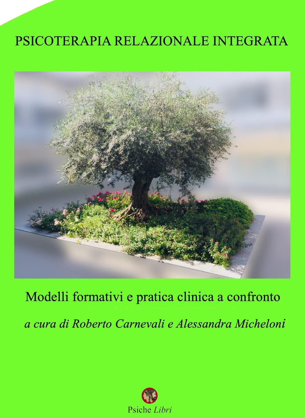 Psicoterapia relazionale integrata. Modelli formativi e pratica clinica a confronto book