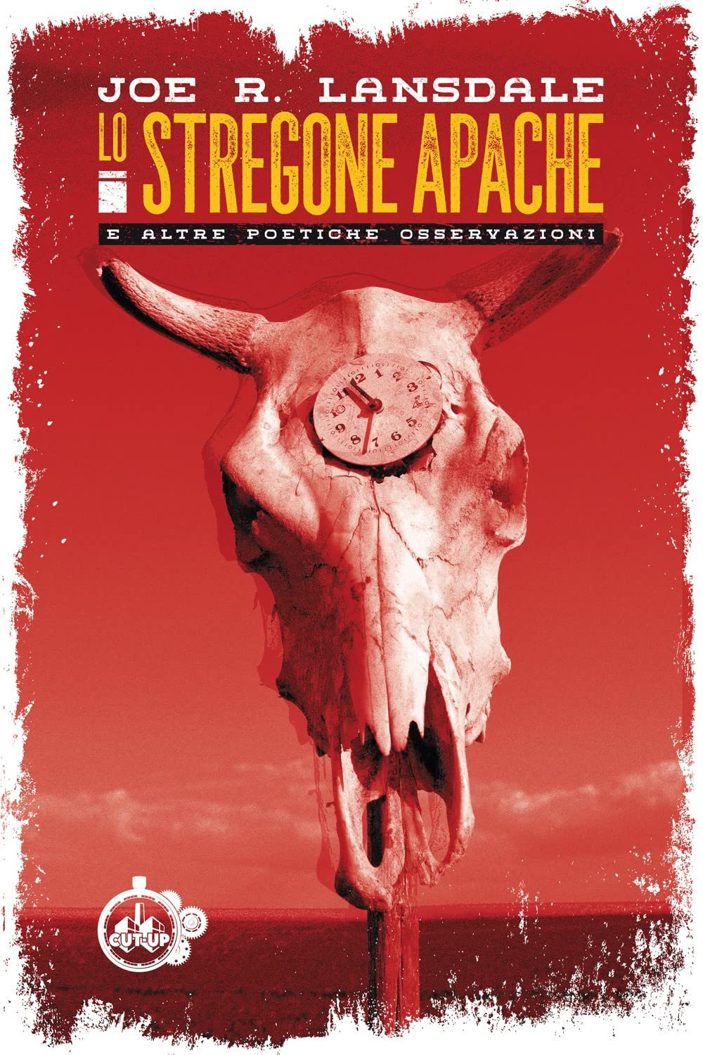 Lo stregone apache e altre poetiche osservazioni Poetry