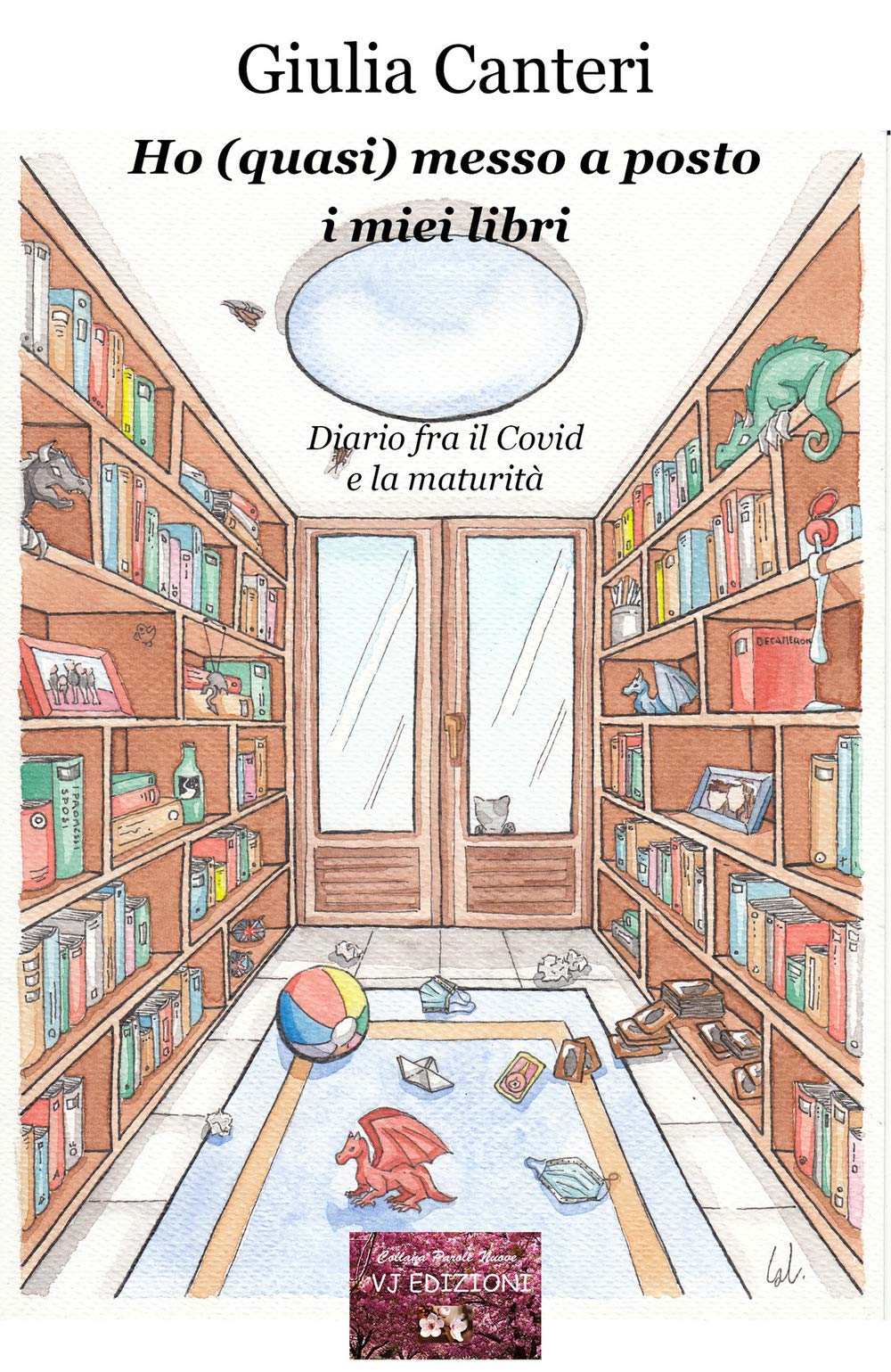 Ho (quasi) messo a posto i miei libri. Diario fra il Covid e la maturità book